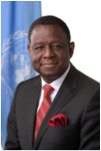 Executive Director of UNFPA Dr. Babatunde Osotimehin