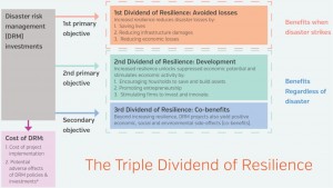 Triple Dividend Figure